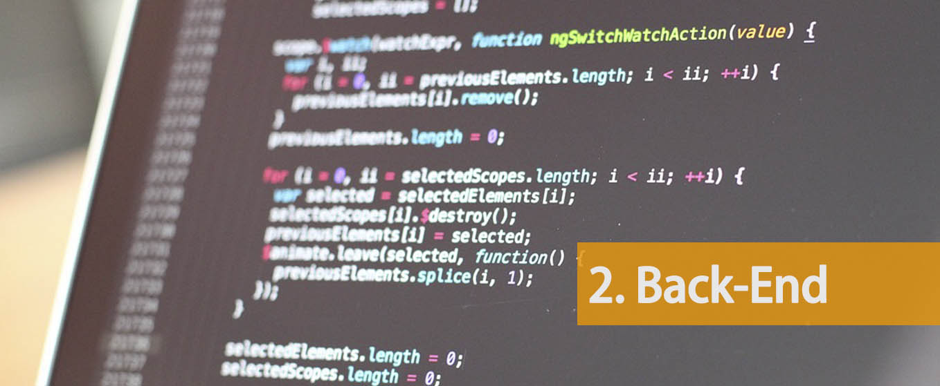 Is back-end developer a good career